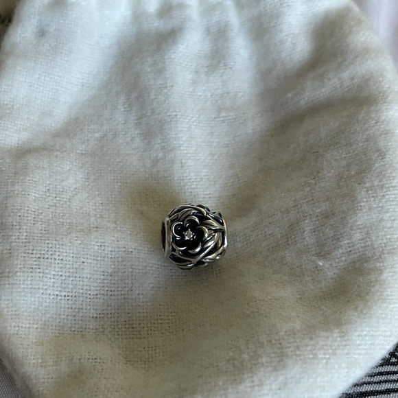 Pandora charm - Picture 1 of 1